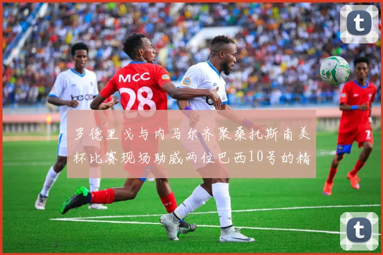 罗德里戈与内马尔齐聚桑托斯南美杯比赛现场助威两位巴西10号的精彩时刻